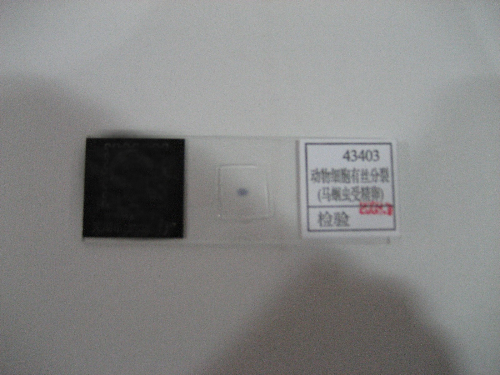 43403.jpg 43403.jpg