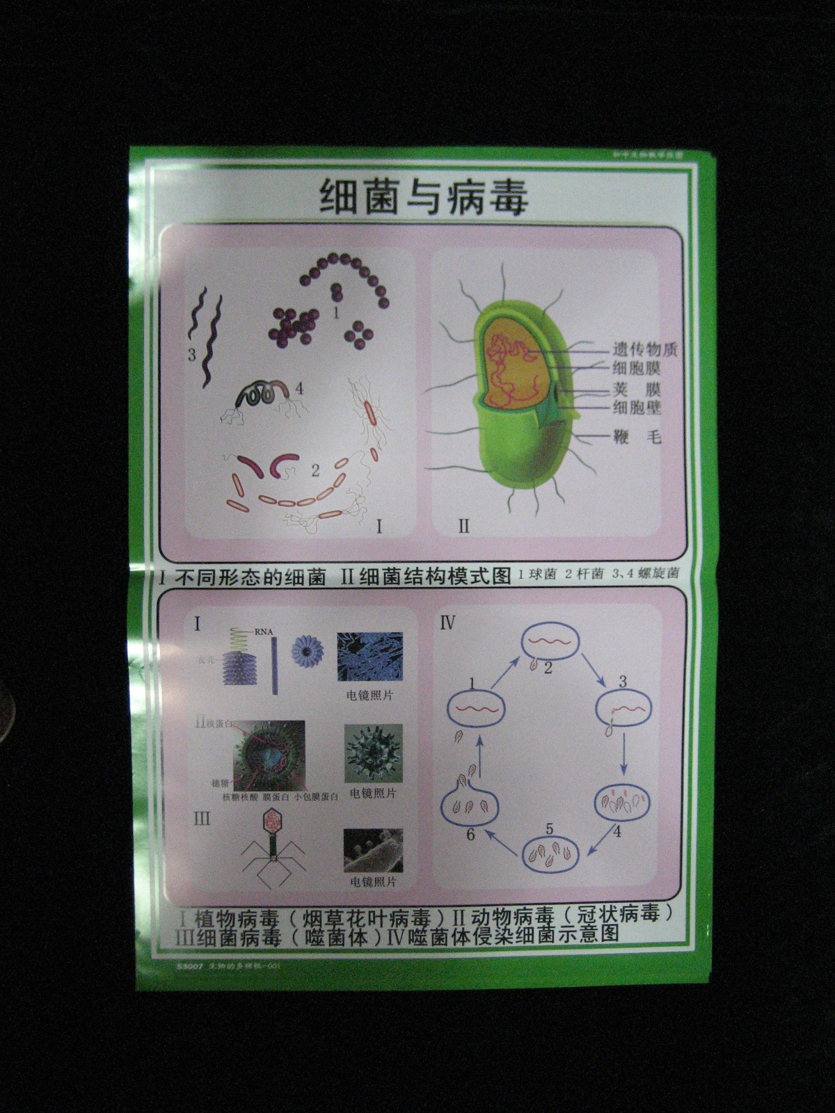 53007.jpg 53007.jpg